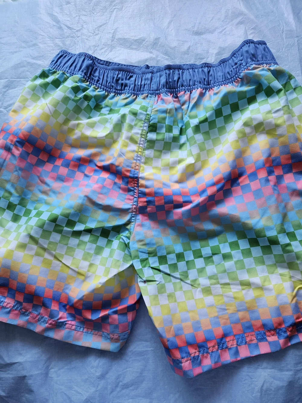 California Men's Multicolor Check Swim Trunks - Blue Waistband